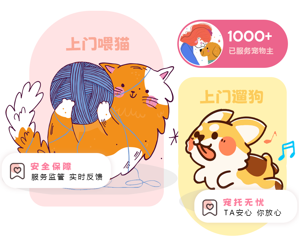 有宠上门，上门喂猫，上门遛狗已服务3000+宠物家庭