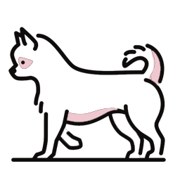 上门遛狗